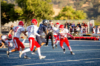 Vs Galt JV-16