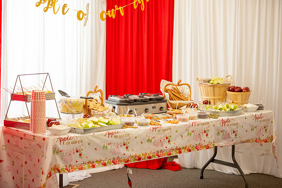 Elora Baby Shower-003