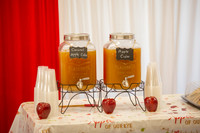 Elora Baby Shower-005