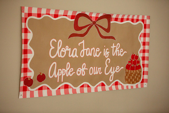 Elora Baby Shower-012
