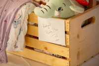 Elora Baby Shower-010