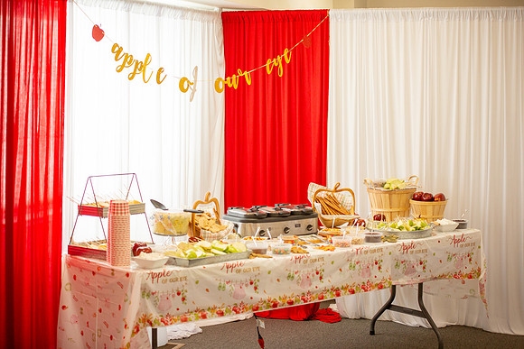 Elora Baby Shower-004