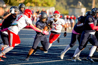 Vs Galt JV-20