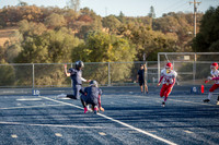 Vs Galt JV-8