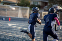 Vs Galt JV-6