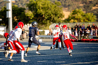 Vs Galt JV-15